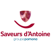 Logo Saveurs d'Antoine