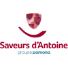 Logo Saveurs d'Antoine