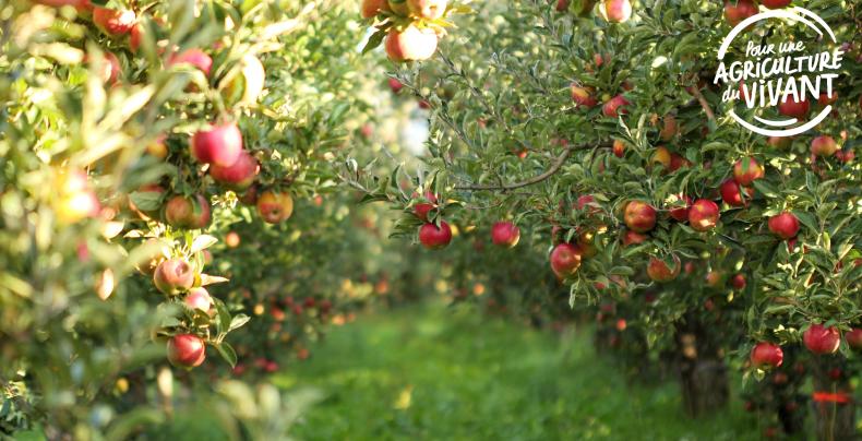 verger pour une agriculture du vivant